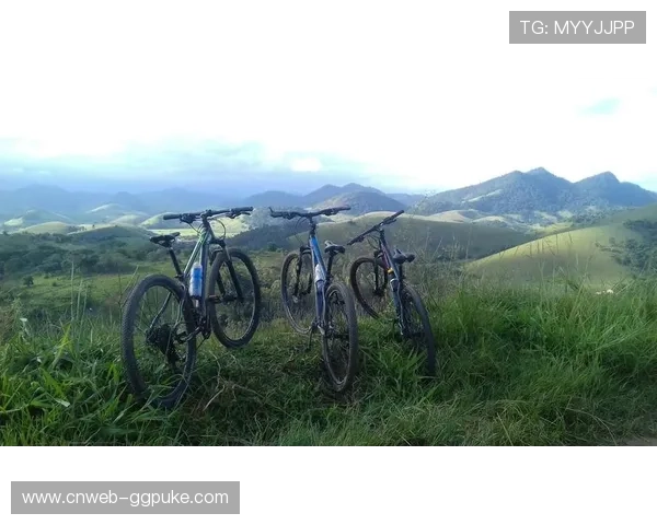 美国选手Yara Alves打破全球纪录 挑战斯巴达勇士赛45轮三色极限 美国选手Yara Alves打破全球纪录 挑战斯巴达勇士赛45轮三色极限